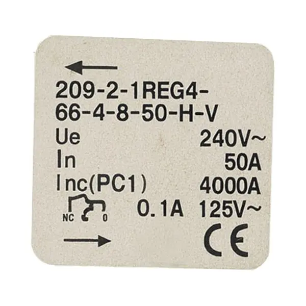 2-POLE_100A_8