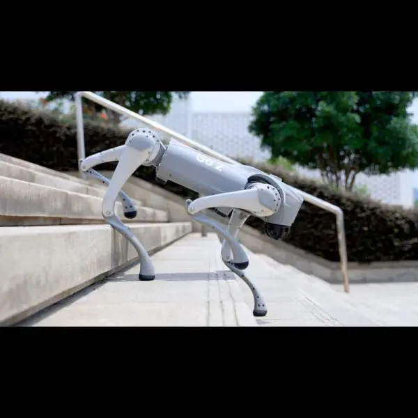 unitree-go2-edu-ai-quadruped-robot-dog-488327