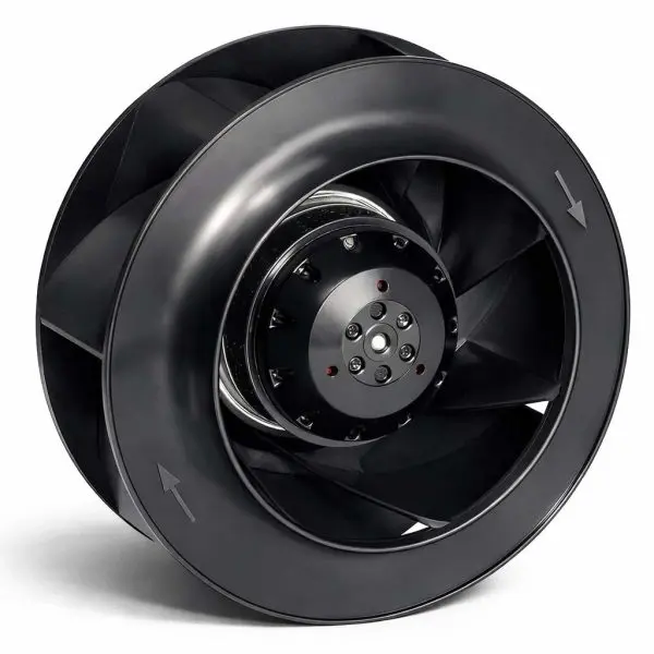 40f09f62-95ee-4718-a87e-1f382c64043f copy 2