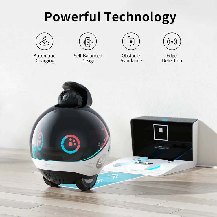 EBO X AI Family Companion Robot - Gruber Power Services