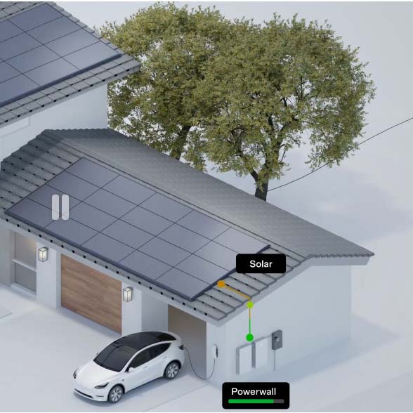 2026-01-29_080333 copy